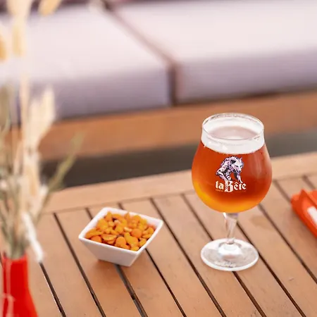 Otel Toulouse Airport By Ihg Blagnac