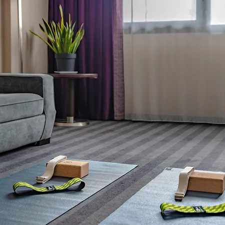 Toulouse Airport By Ihg 4* Μπλανιάκ